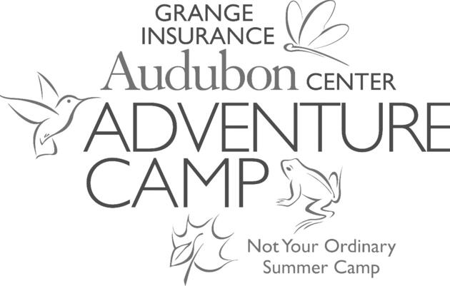 Join the Adventure this Summer!                                  