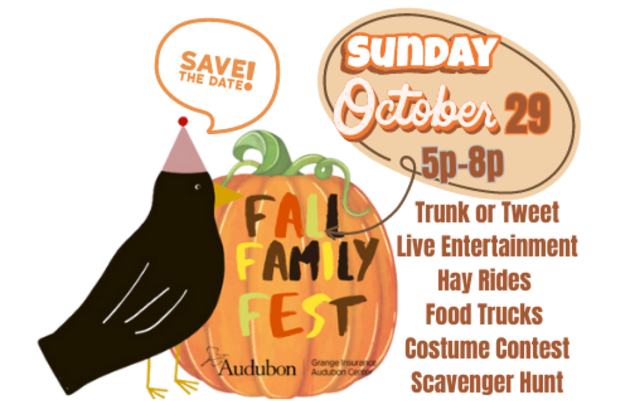 Programs and Events