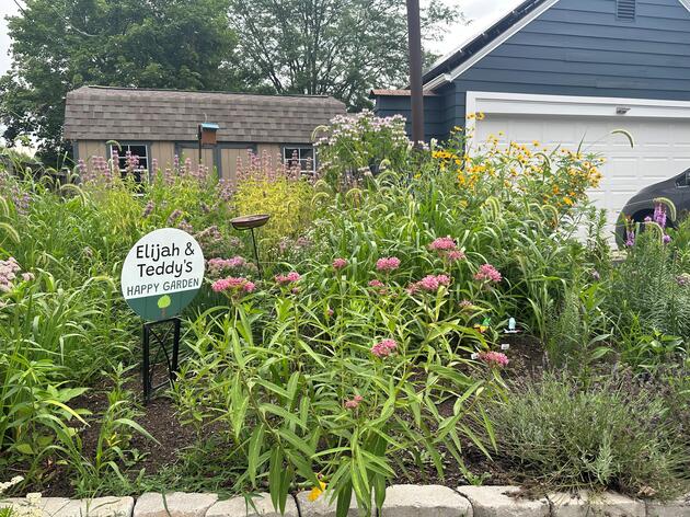 Grow an Ohio Garden with the Native Plant Backyard Challenge