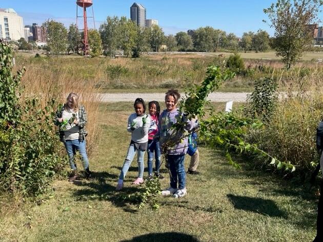 Bringing Nature-Inspired Programming to our Communities