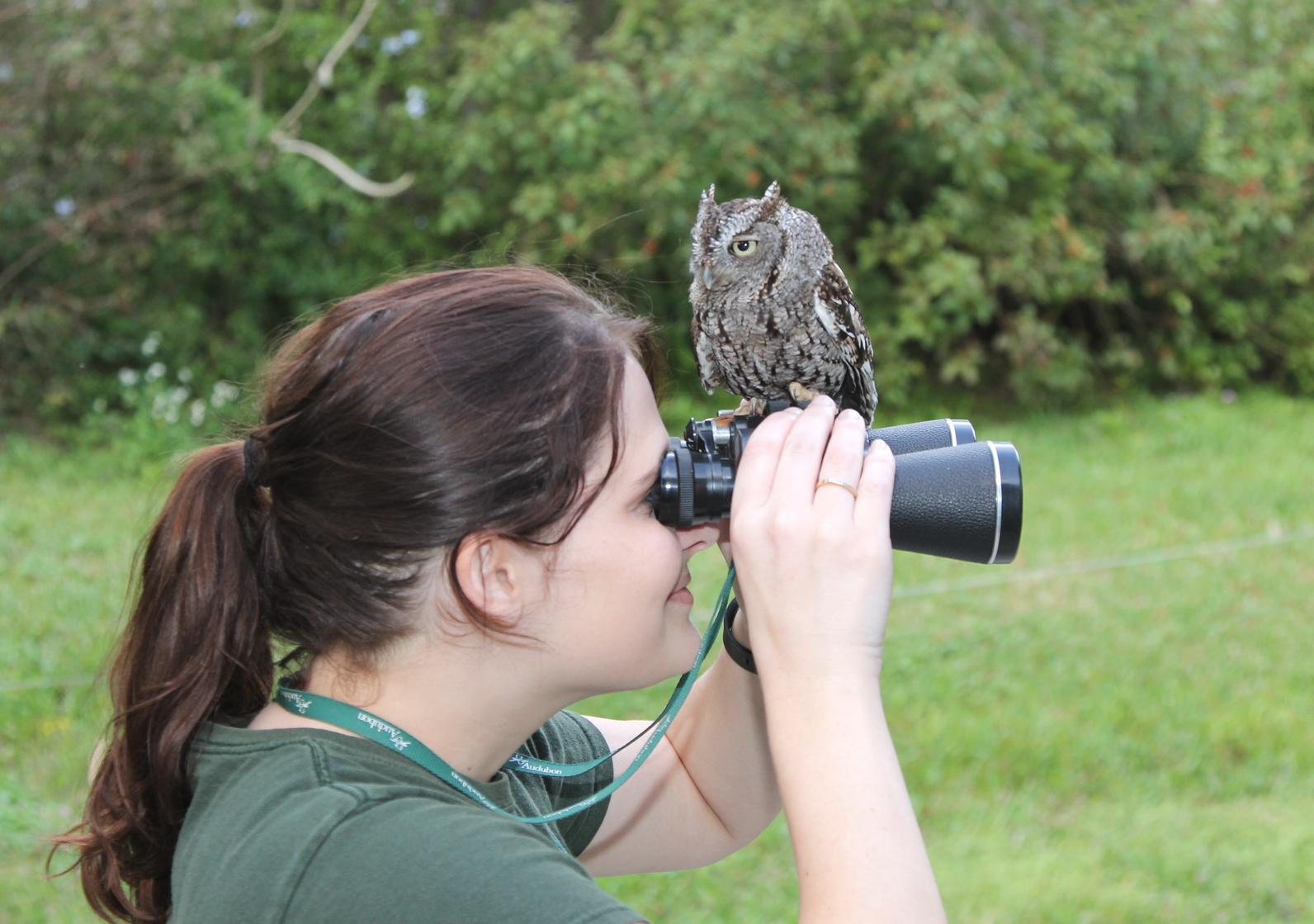 Birdwatching for Beginners | Grange Insurance Audubon Center