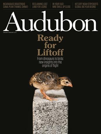 Become an Audubon Member | Grange Insurance Audubon Center