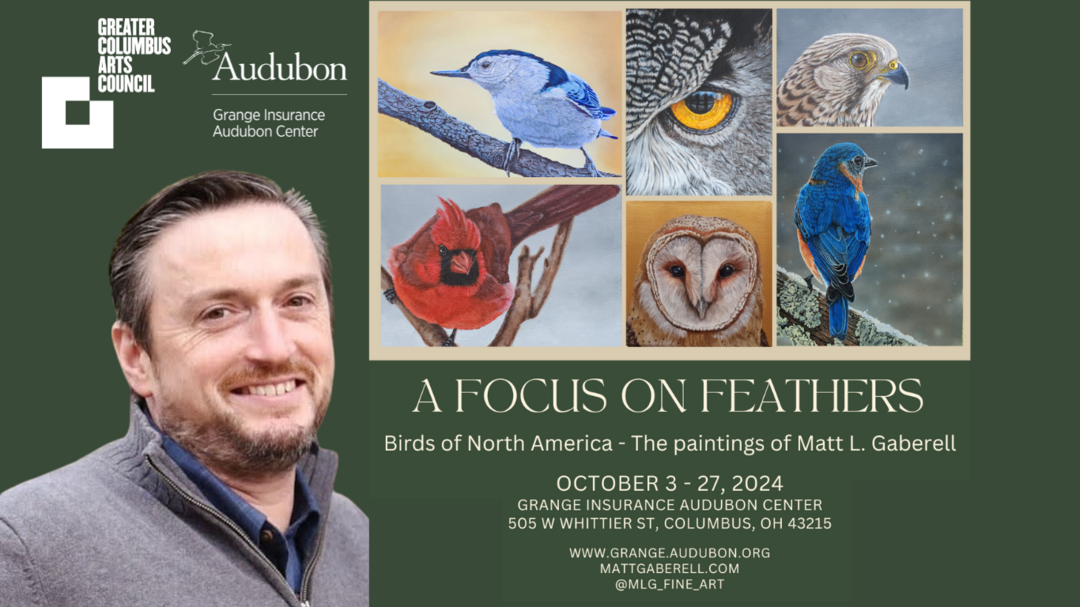 Focus on Feathers Exhibit